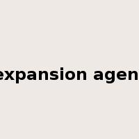 expansion agent是什么意思