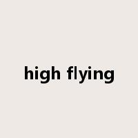 high flying是什么意思