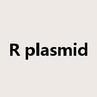 R plasmid是什么意思