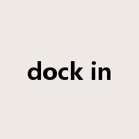 dock in是什么意思