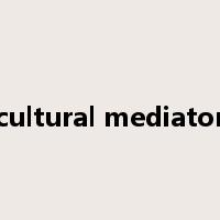 cultural mediator是什么意思