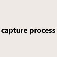 capture process是什么意思