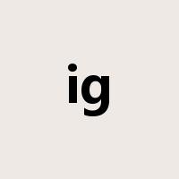 ig是什么意思