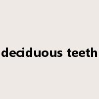 deciduous teeth是什么意思