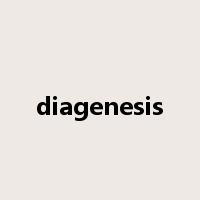 diagenesis是什么意思