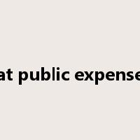 at public expense是什么意思