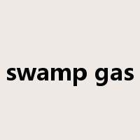 swamp gas是什么意思
