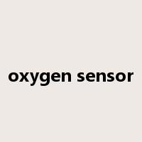 oxygen sensor是什么意思