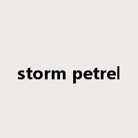storm petrel是什么意思