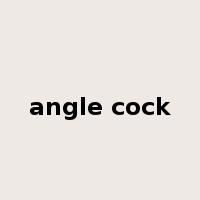 angle cock是什么意思