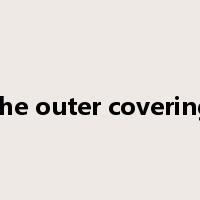 the outer covering是什么意思