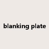 blanking plate是什么意思