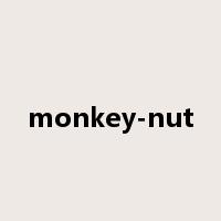 monkey-nut是什么意思