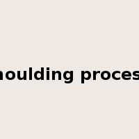 moulding process是什么意思