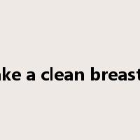 make a clean breast of是什么意思