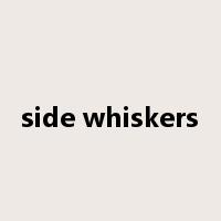 side whiskers是什么意思