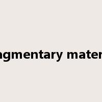 fragmentary material是什么意思