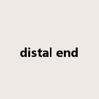 distal end是什么意思