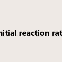 initial reaction rate是什么意思