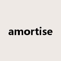 amortise是什么意思