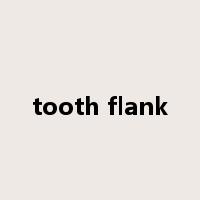 tooth flank是什么意思