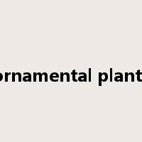 ornamental plants是什么意思