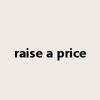 raise a price是什么意思
