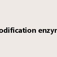modification enzyme是什么意思