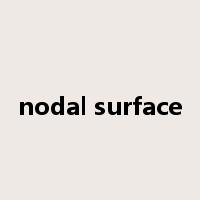 nodal surface是什么意思