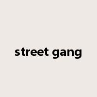 street gang是什么意思