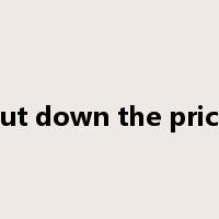 cut down the price是什么意思