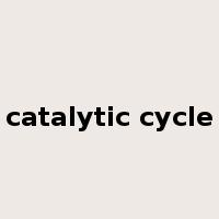 catalytic cycle是什么意思