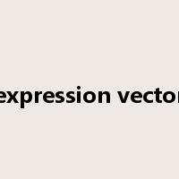 expression vector是什么意思