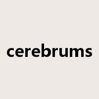 cerebrums是什么意思