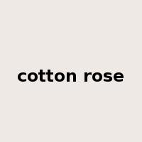 cotton rose是什么意思