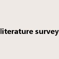 literature survey是什么意思