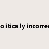 politically incorrect是什么意思