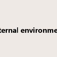 internal environment是什么意思