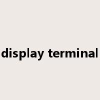 display terminal是什么意思