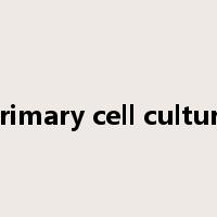 primary cell culture是什么意思