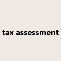 tax assessment是什么意思