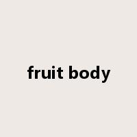 fruit body是什么意思