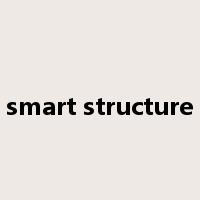 smart structure是什么意思