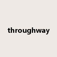 throughway是什么意思