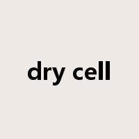dry cell是什么意思