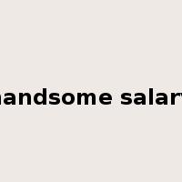handsome salary是什么意思