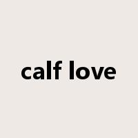 calf love是什么意思