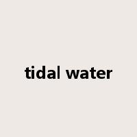 tidal water是什么意思