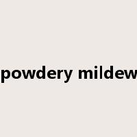 powdery mildew是什么意思