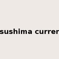 Tsushima current是什么意思